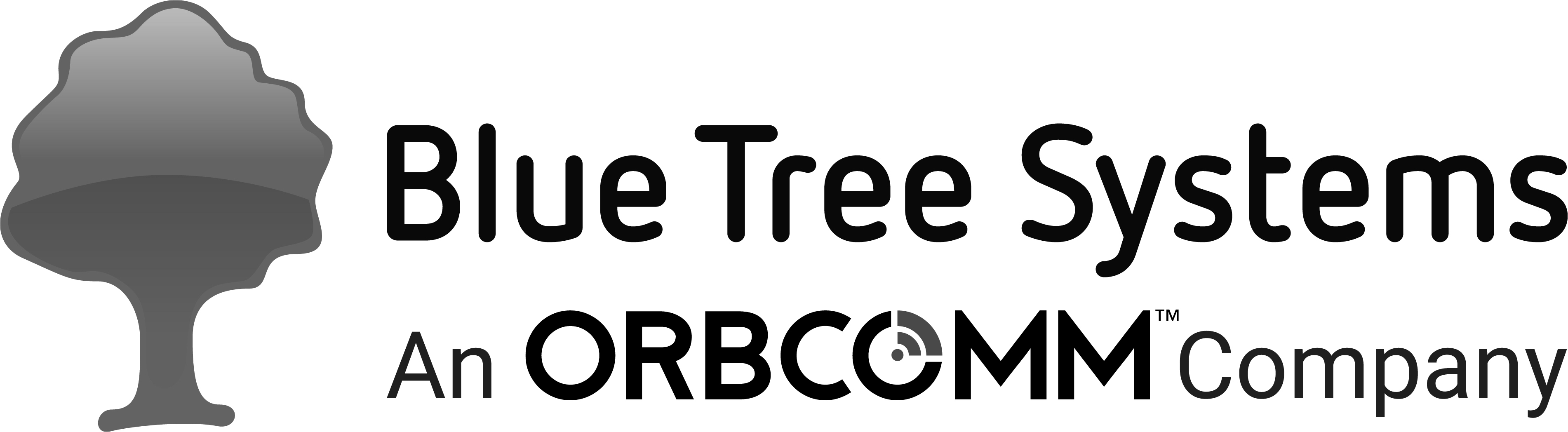Blue Tree Systems GmbH